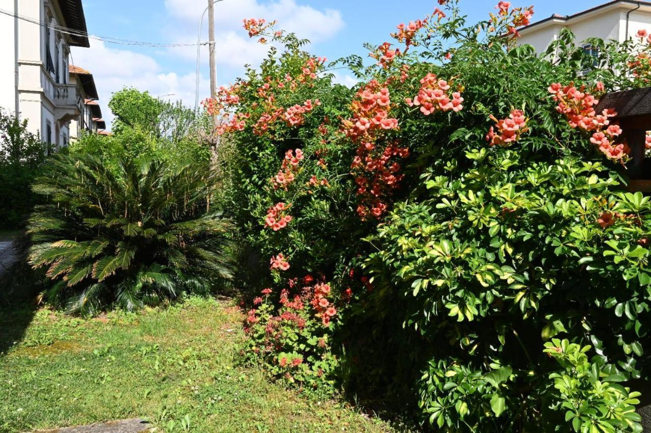 Villa Mehari Pisa Luaran gambar