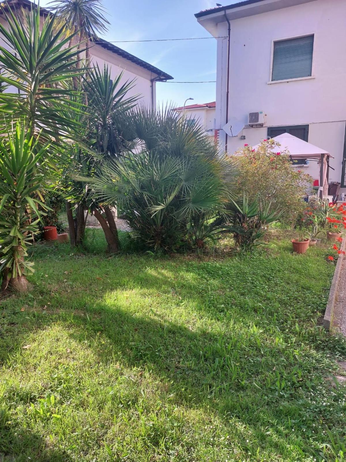 Villa Mehari Pisa Luaran gambar